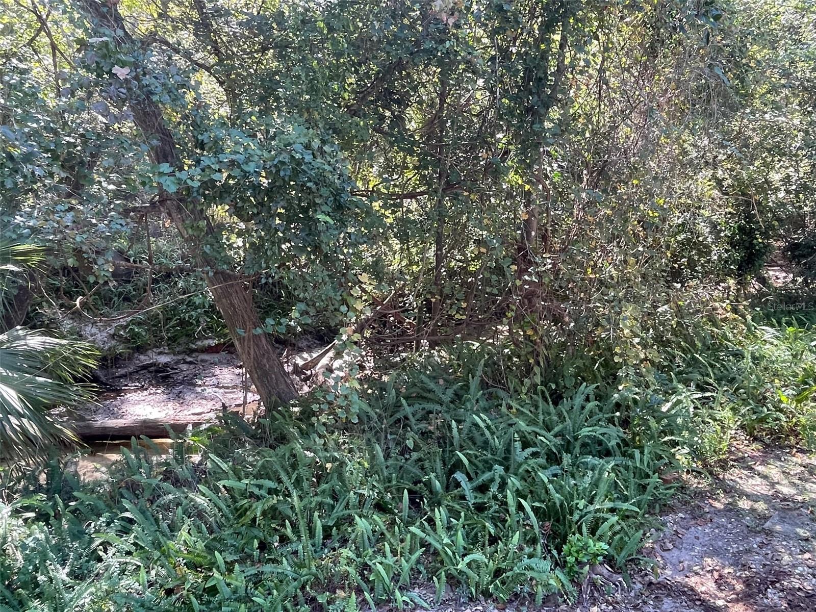 Image 34 of 35 For 2001 15th Avenue