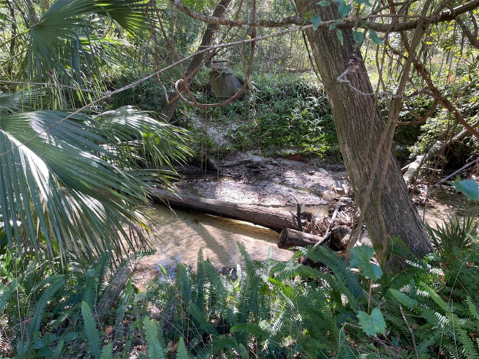 Image 35 of 35 For 2001 15th Avenue