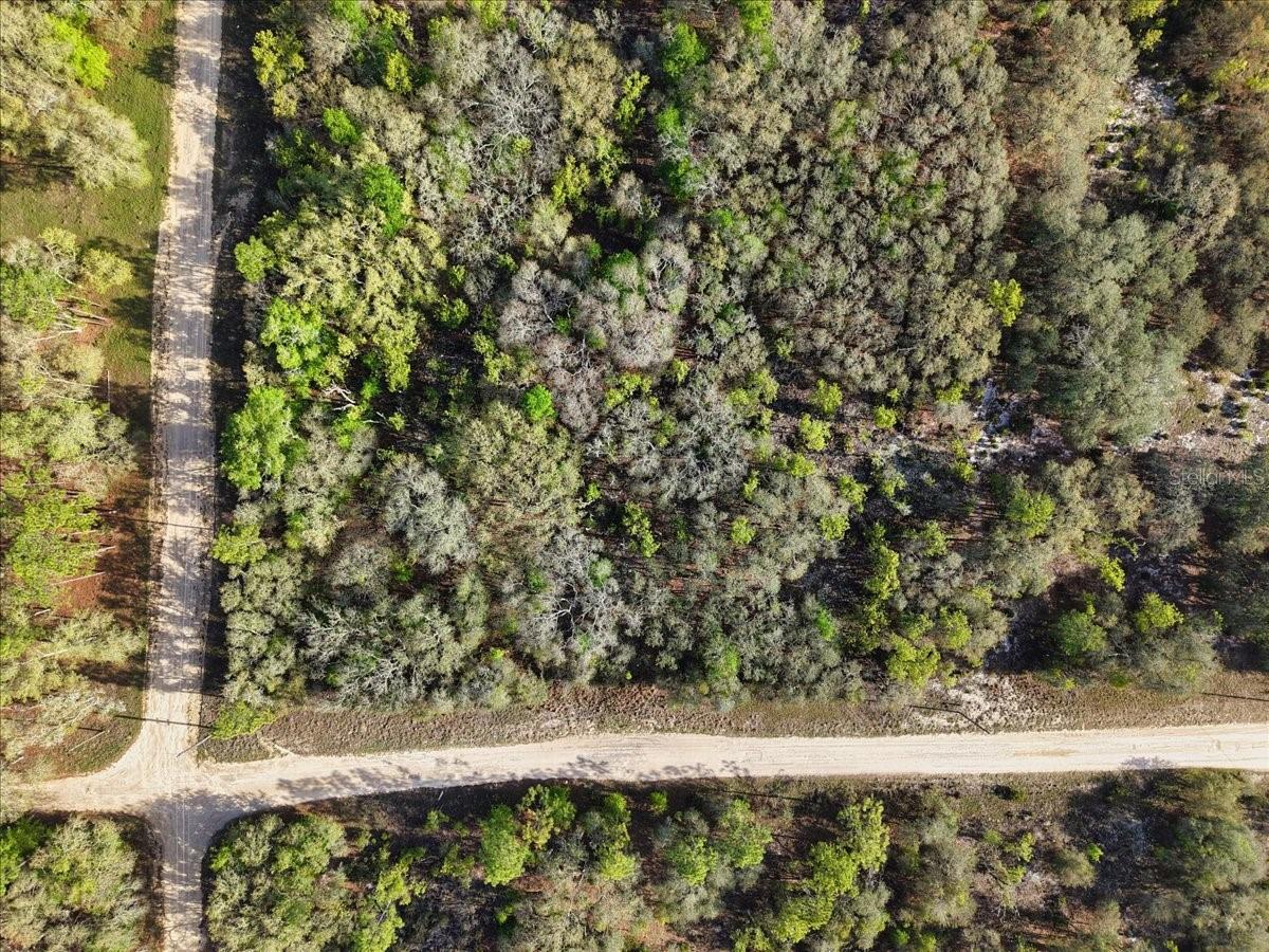 Image 9 of 12 For Lot 362 82nd Place