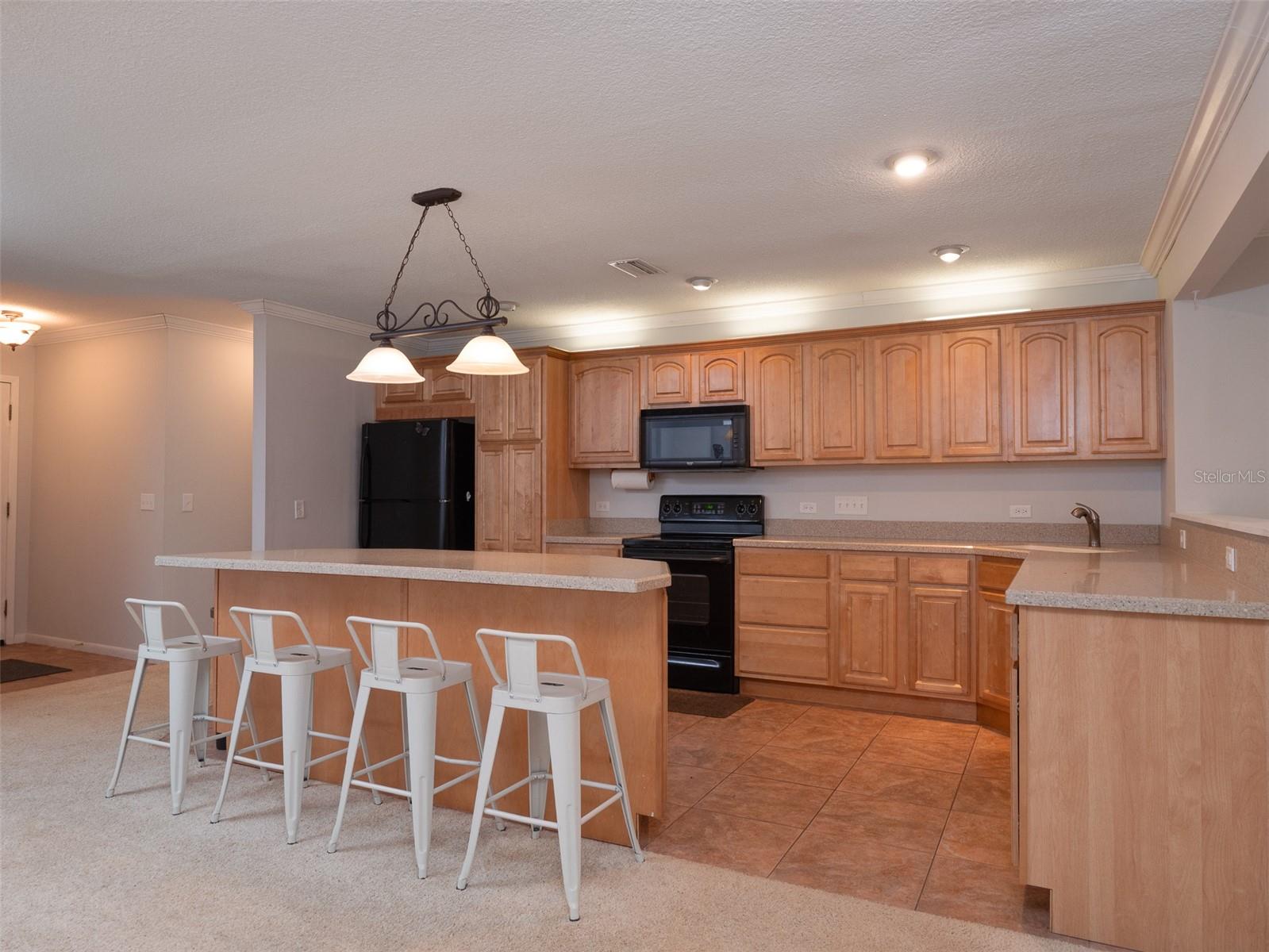 Image 36 of 62 For 8491 Lilly Lake Road