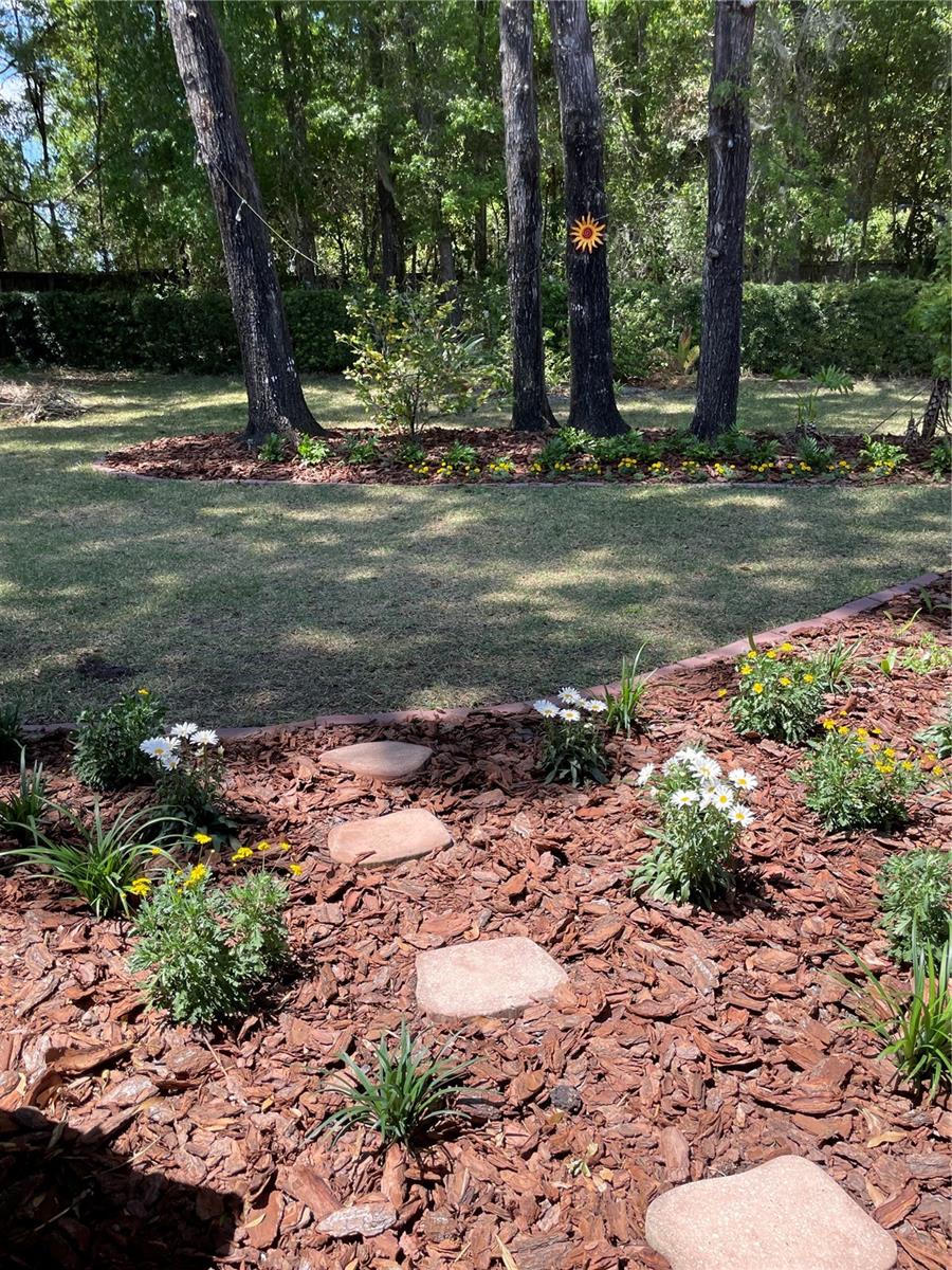 Image 54 of 62 For 6448 90 Street