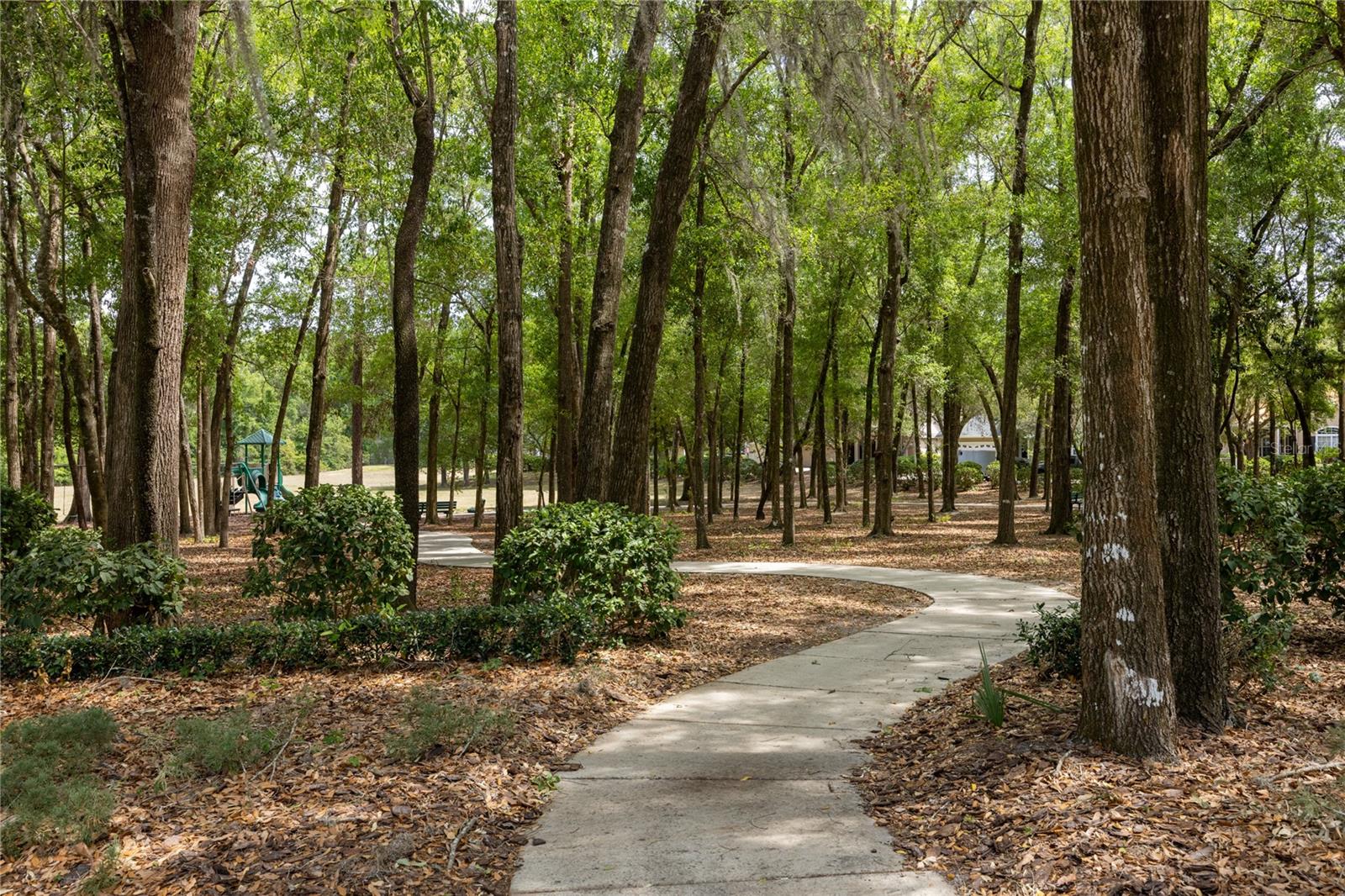 Image 59 of 62 For 6448 90 Street