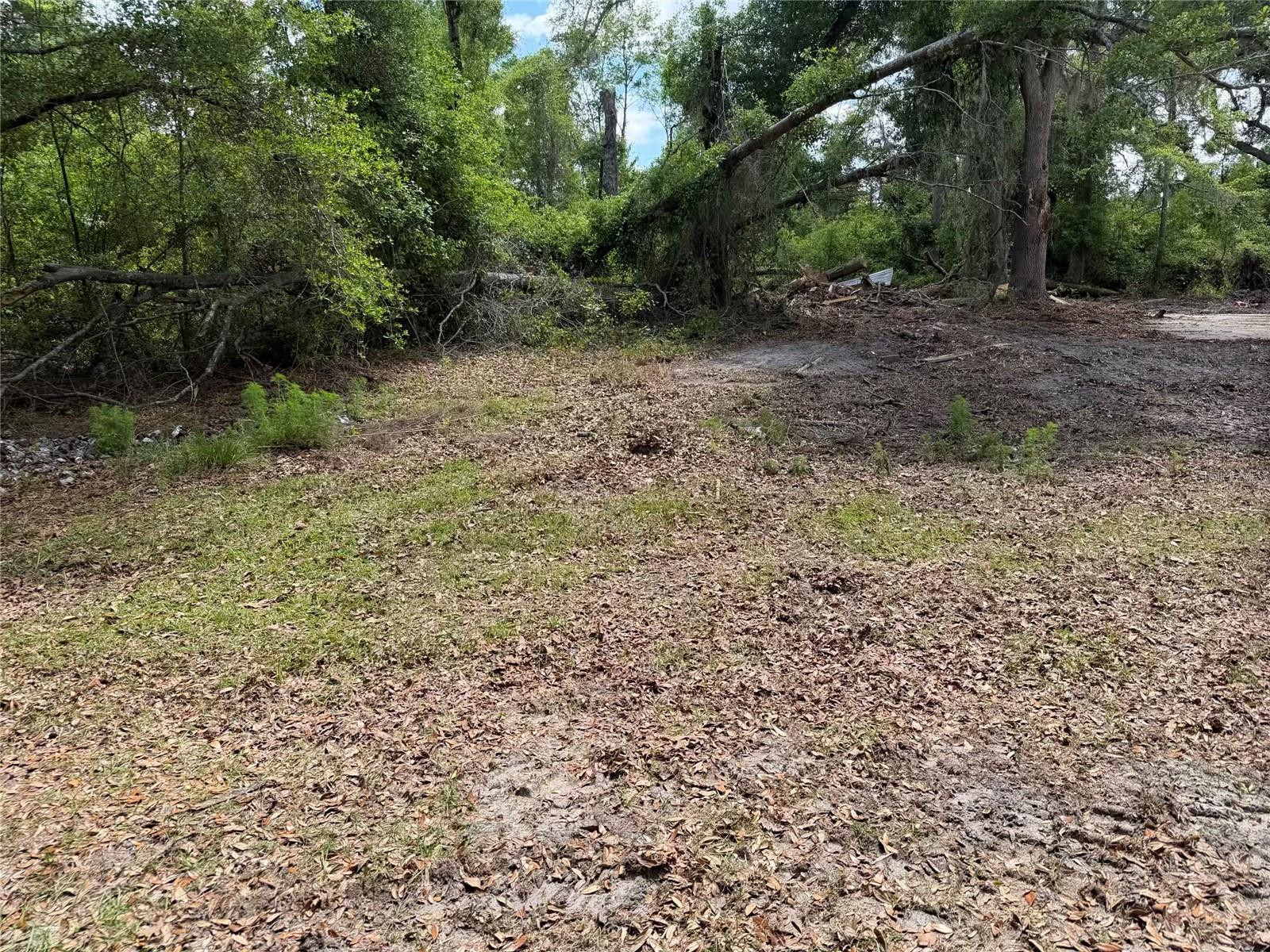 Image 11 of 14 For 8041 152  