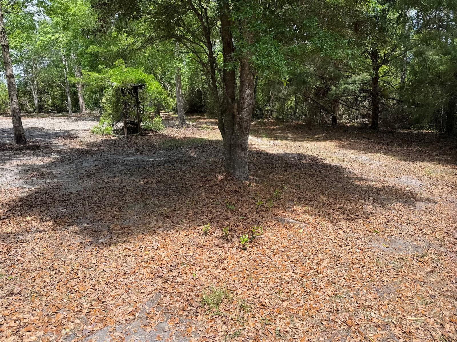 Image 12 of 14 For 8041 152  