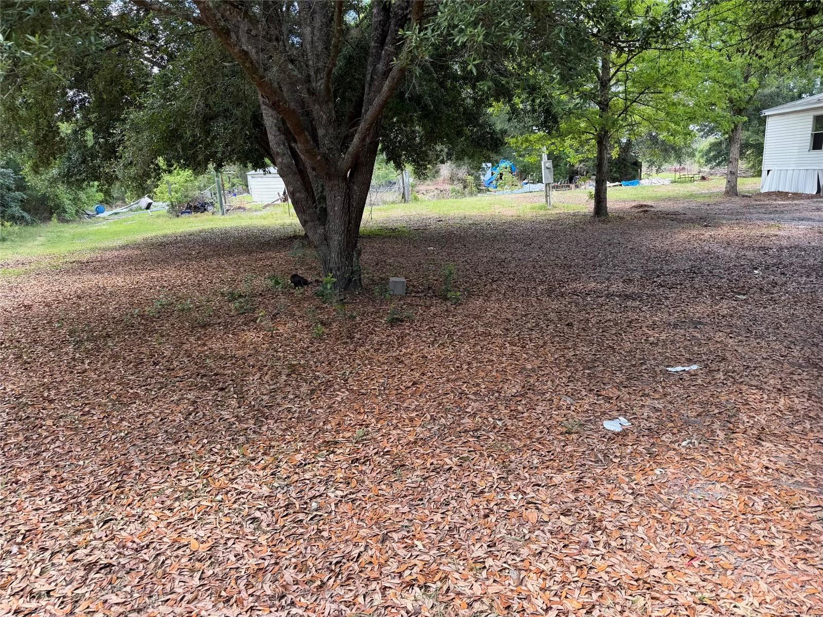 Image 13 of 14 For 8041 152  