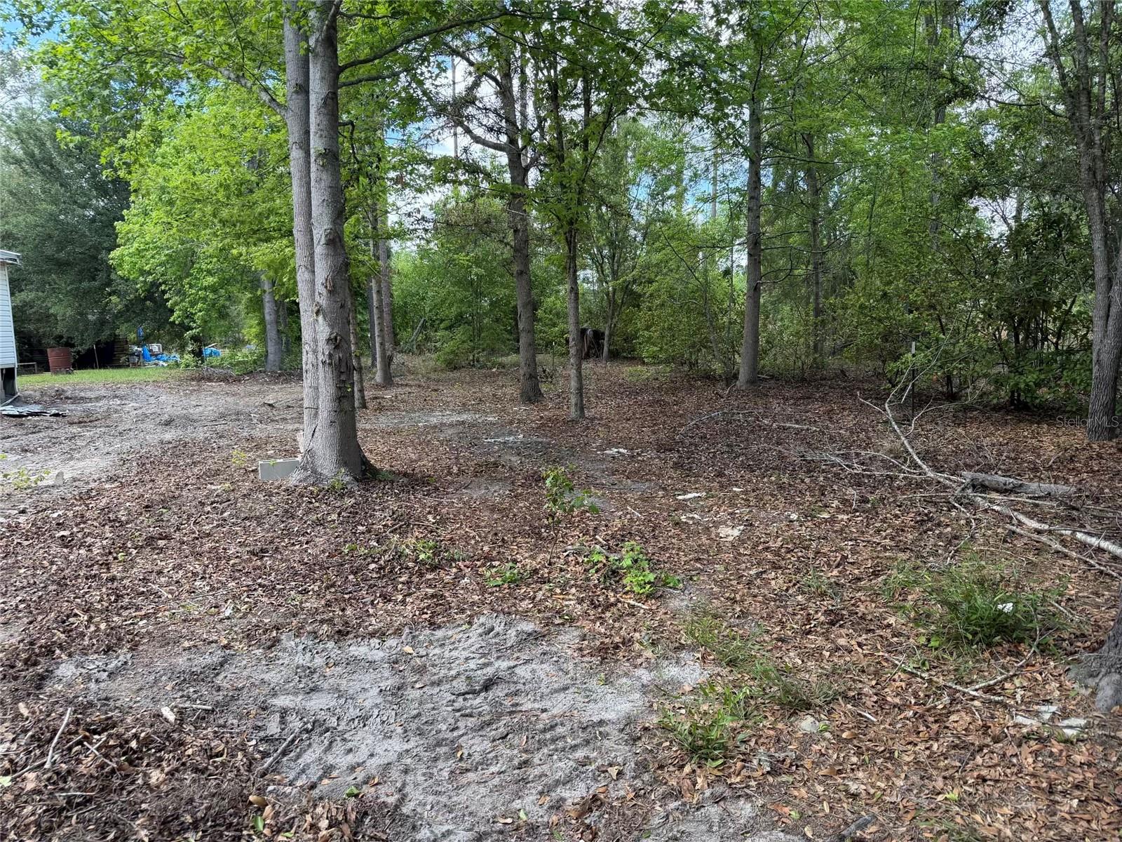 Image 14 of 14 For 8041 152  