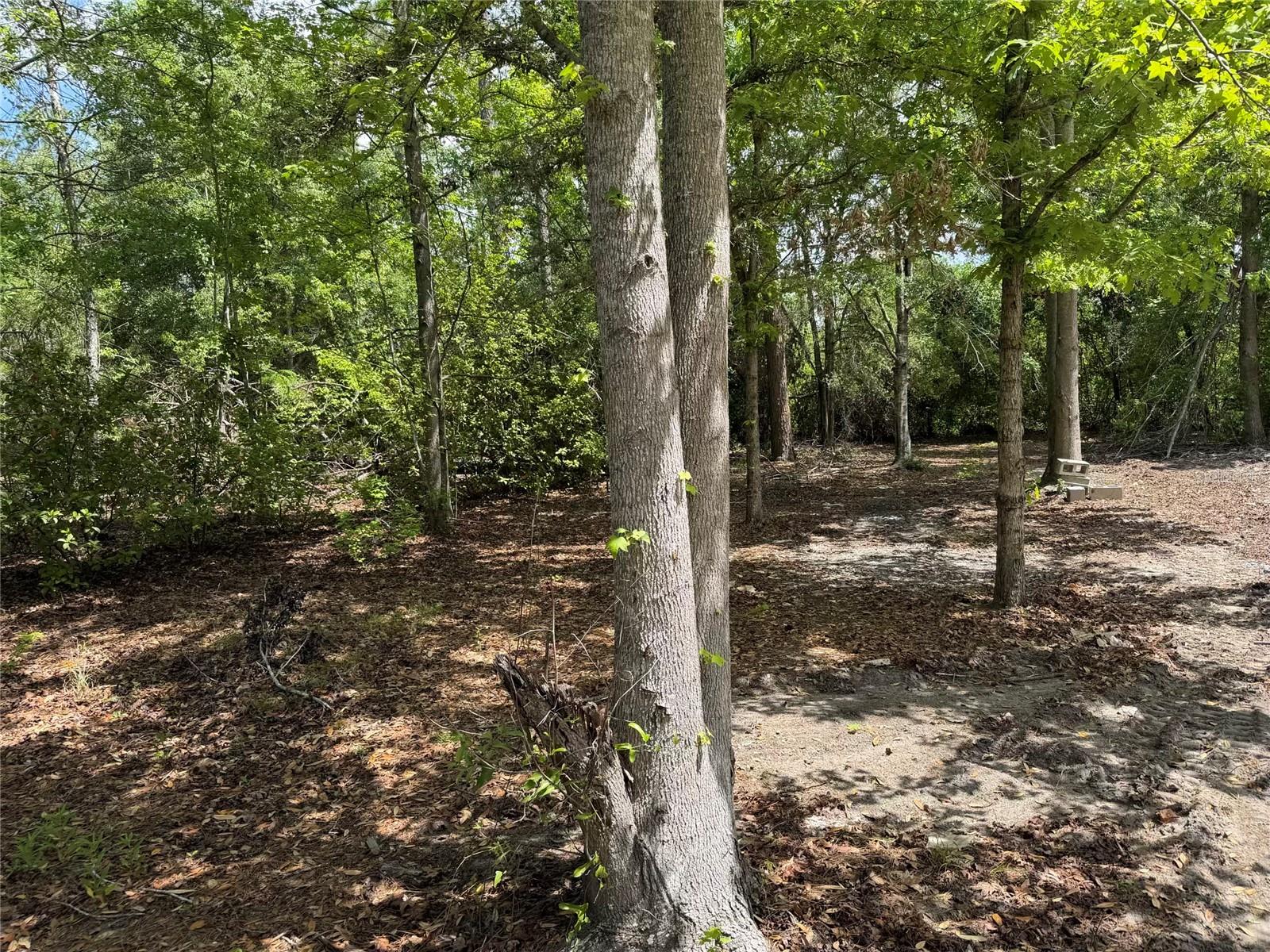 Image 9 of 14 For 8041 152  