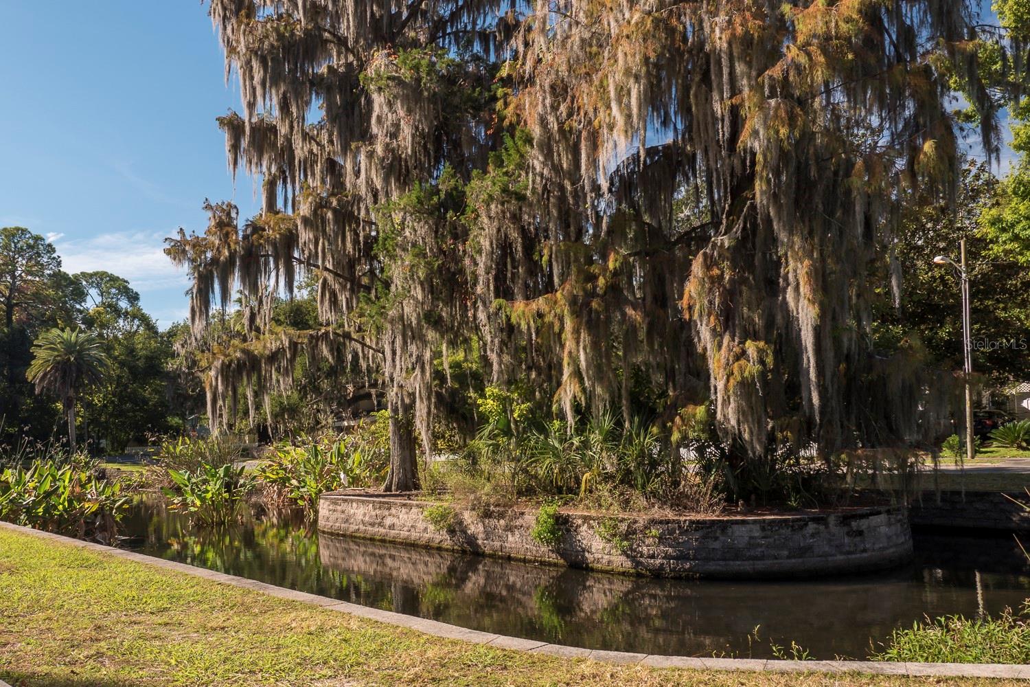 Image 31 of 32 For 531 Boulevard