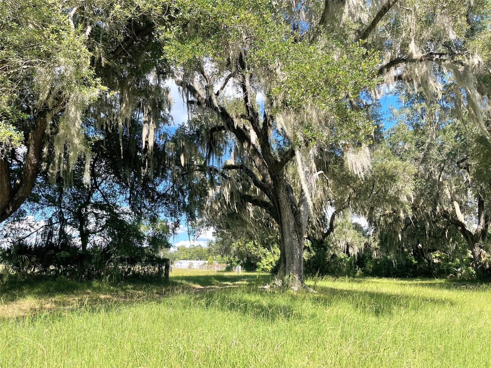 Image 11 of 74 For 11804 County Road 234