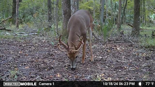 Image 12 of 74 For 11804 County Road 234