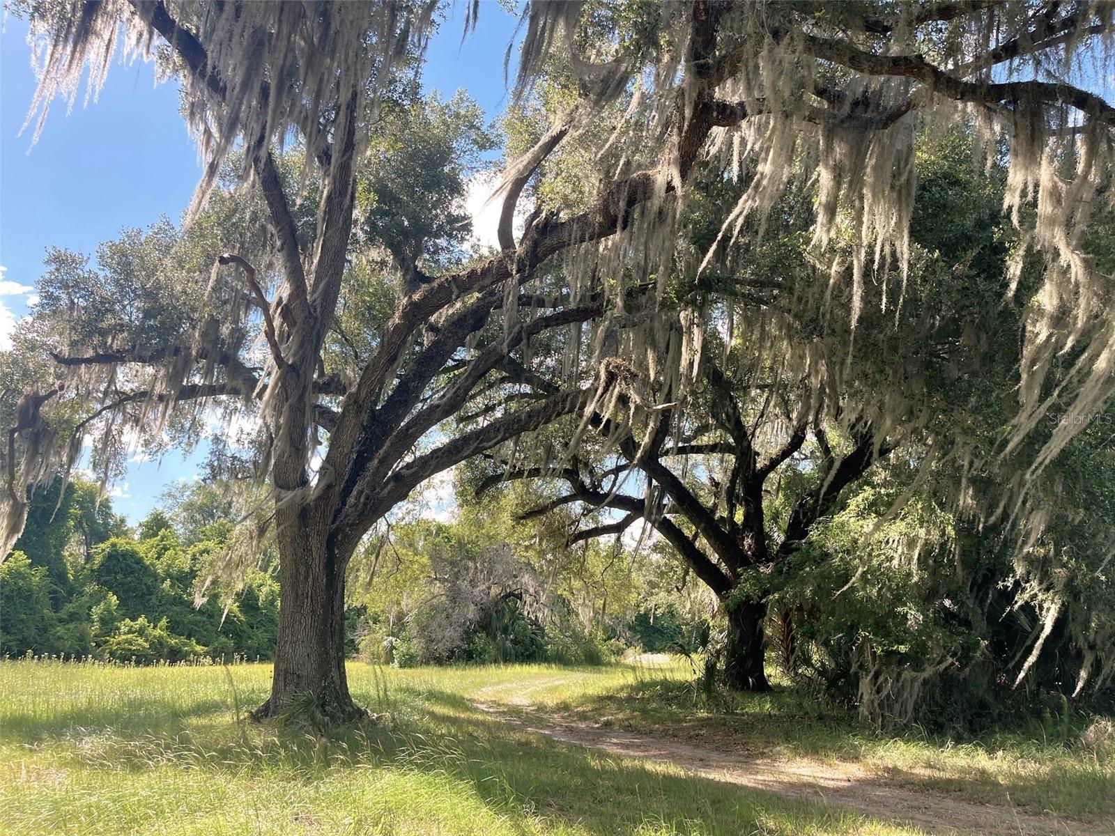 Image 28 of 74 For 11804 County Road 234