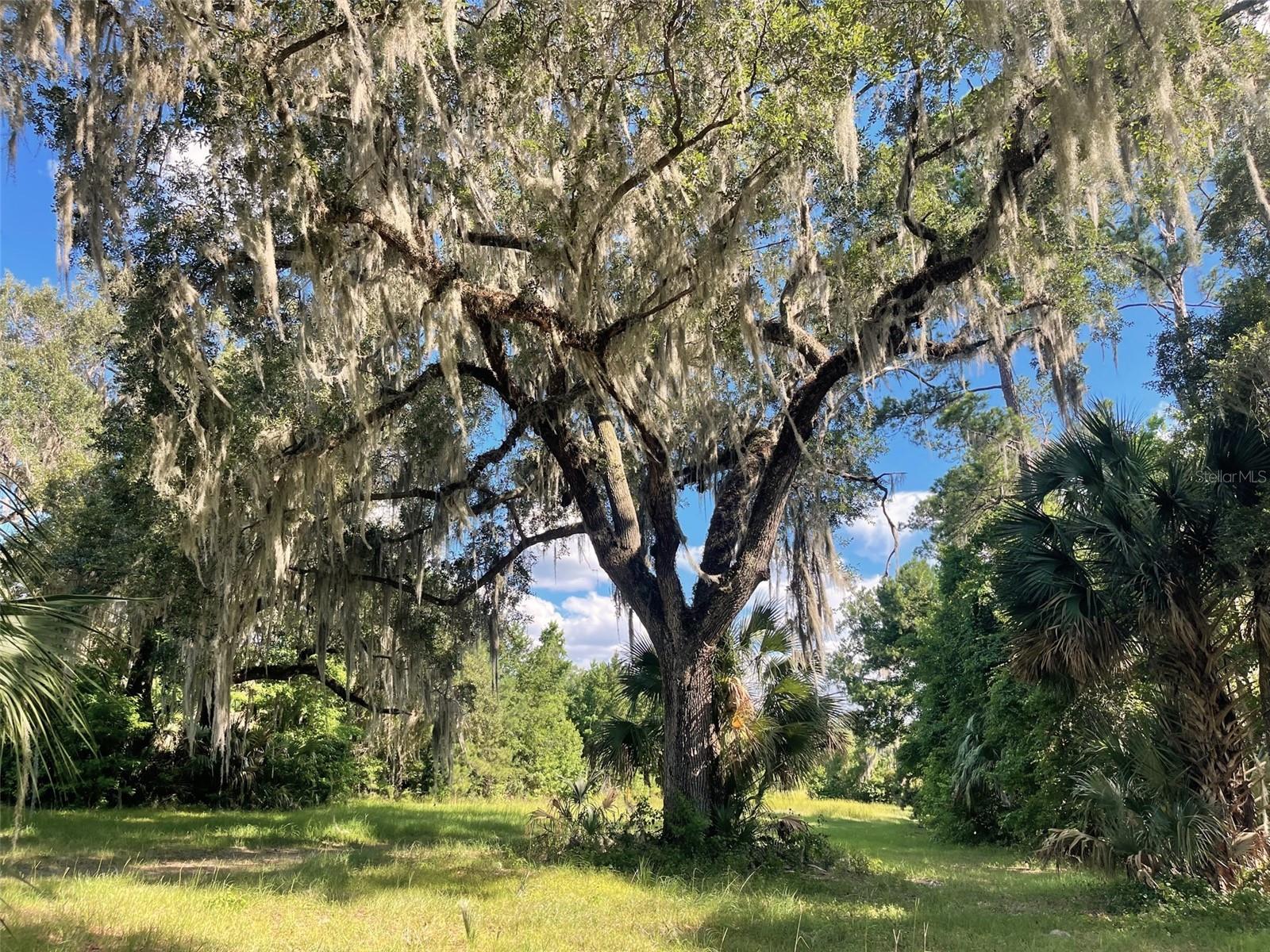 Image 74 of 74 For 11804 County Road 234