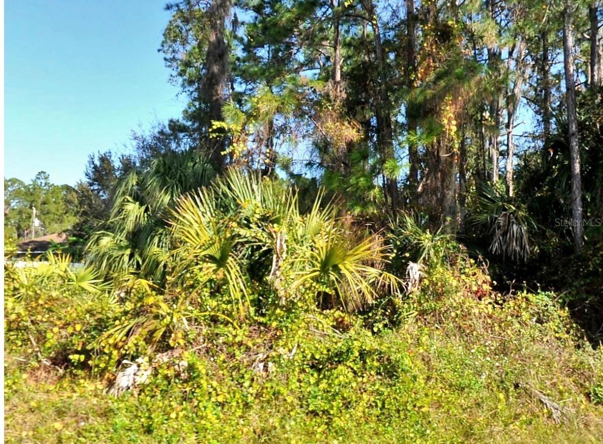 Details for Zambrana Avenue, NORTH PORT, FL 34286