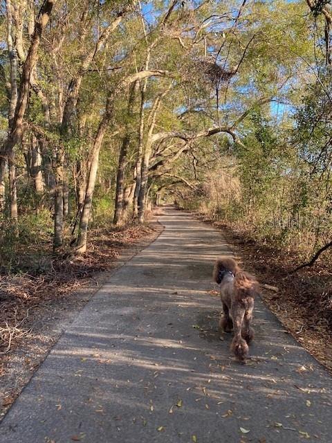 Image 6 of 13 For 1680 188th Street