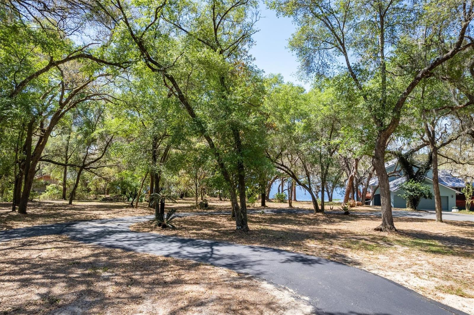 Image 80 of 96 For 111 Kirby Trail