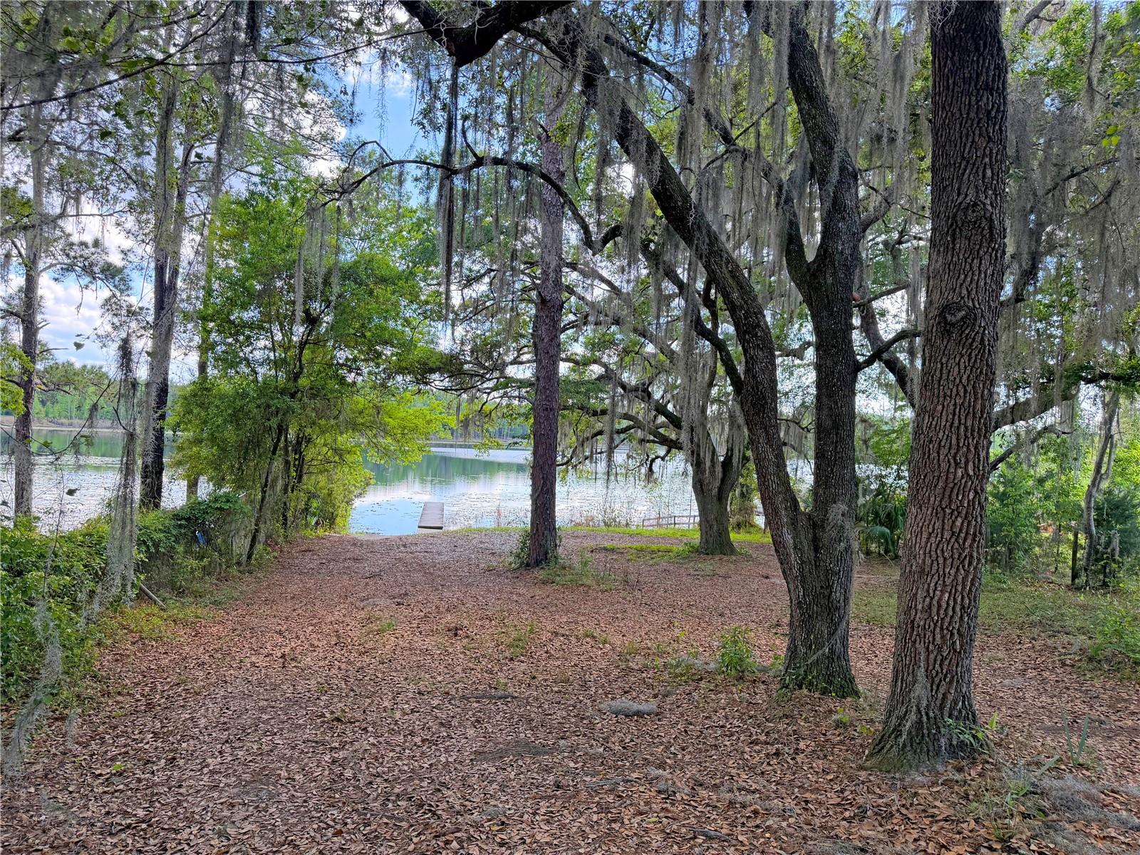 Image 35 of 37 For 120 Peach  