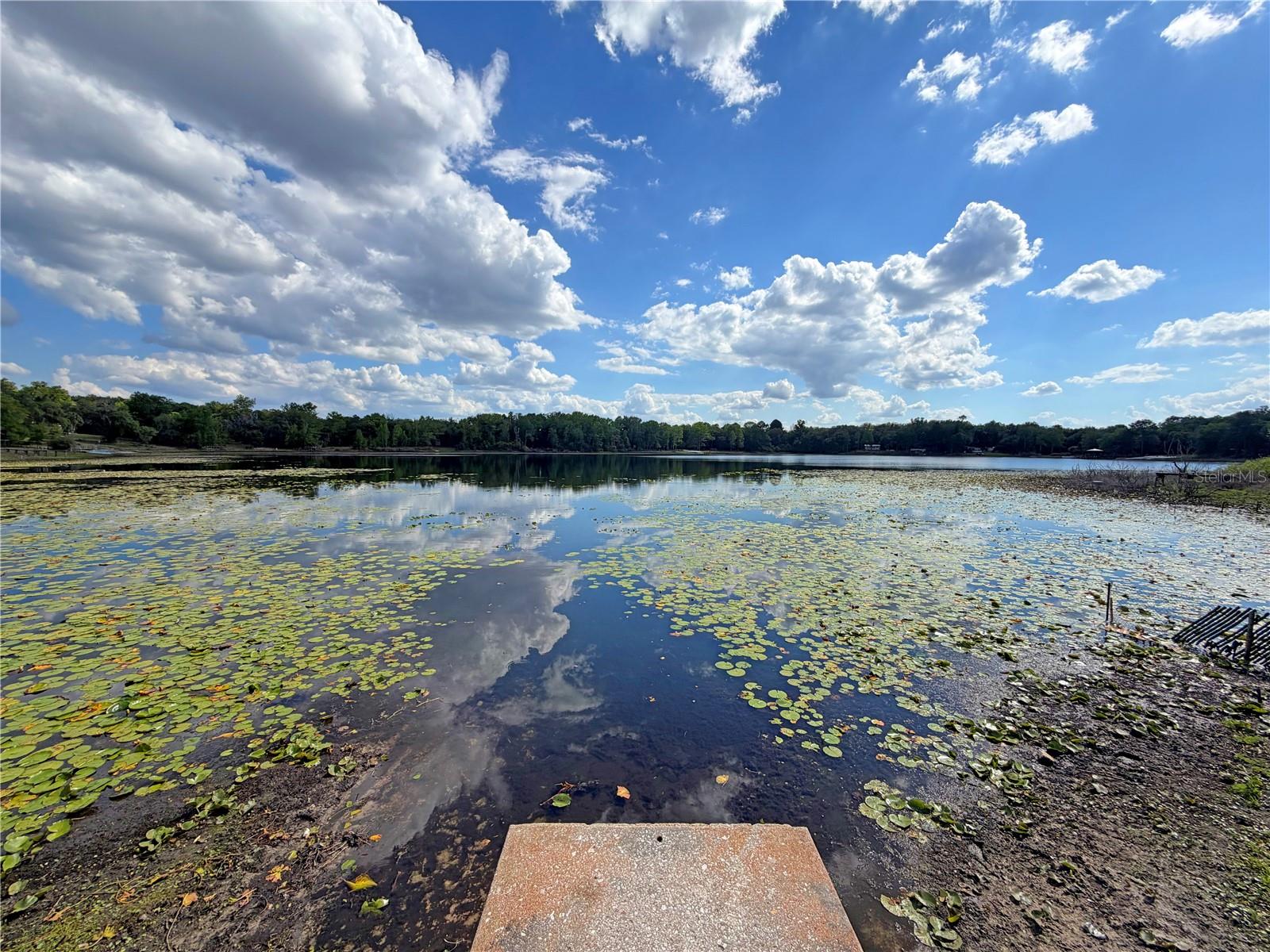 Image 37 of 37 For 120 Peach  