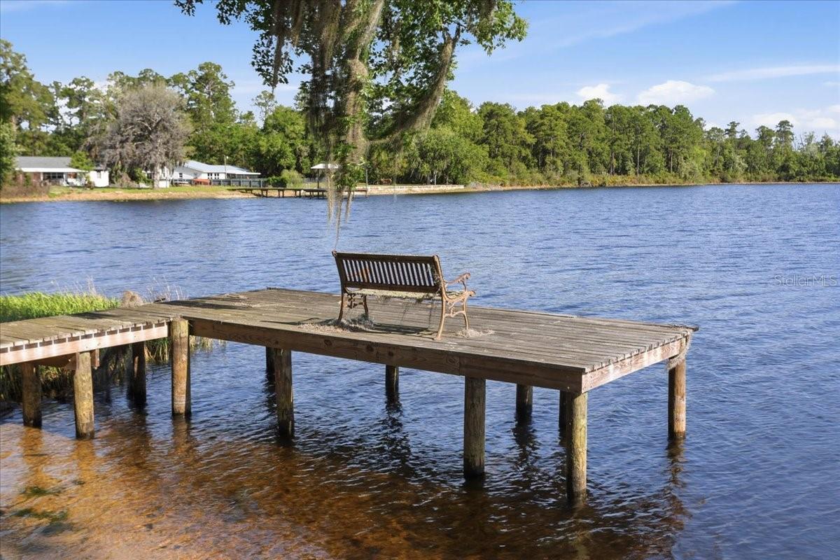 Image 7 of 44 For 229 Lake Ida Point Drive