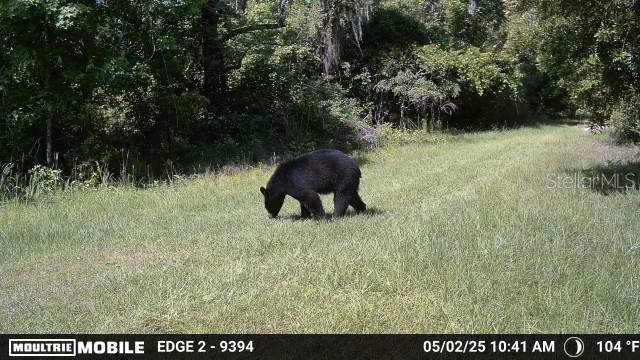 Image 10 of 74 For 11816 County Road 234