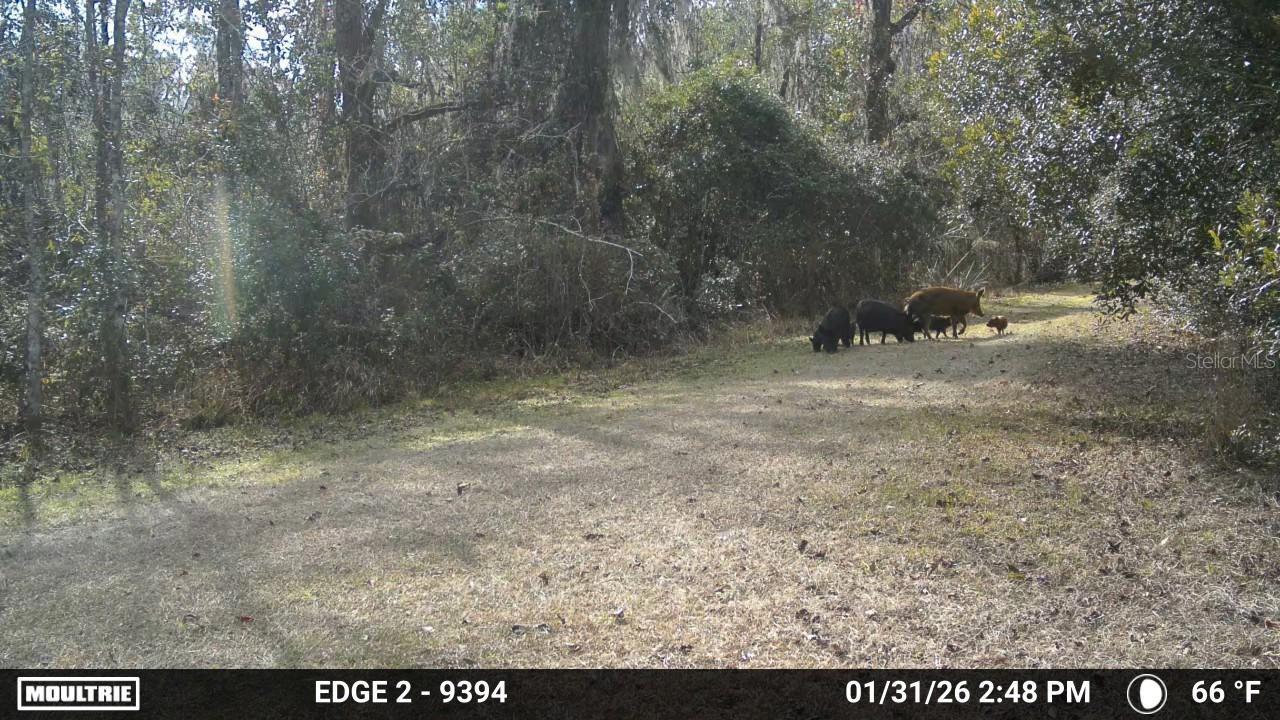 Image 41 of 74 For 11816 County Road 234