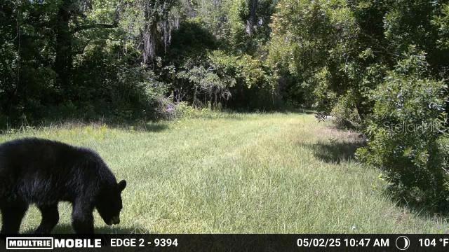 Image 68 of 74 For 11816 County Road 234