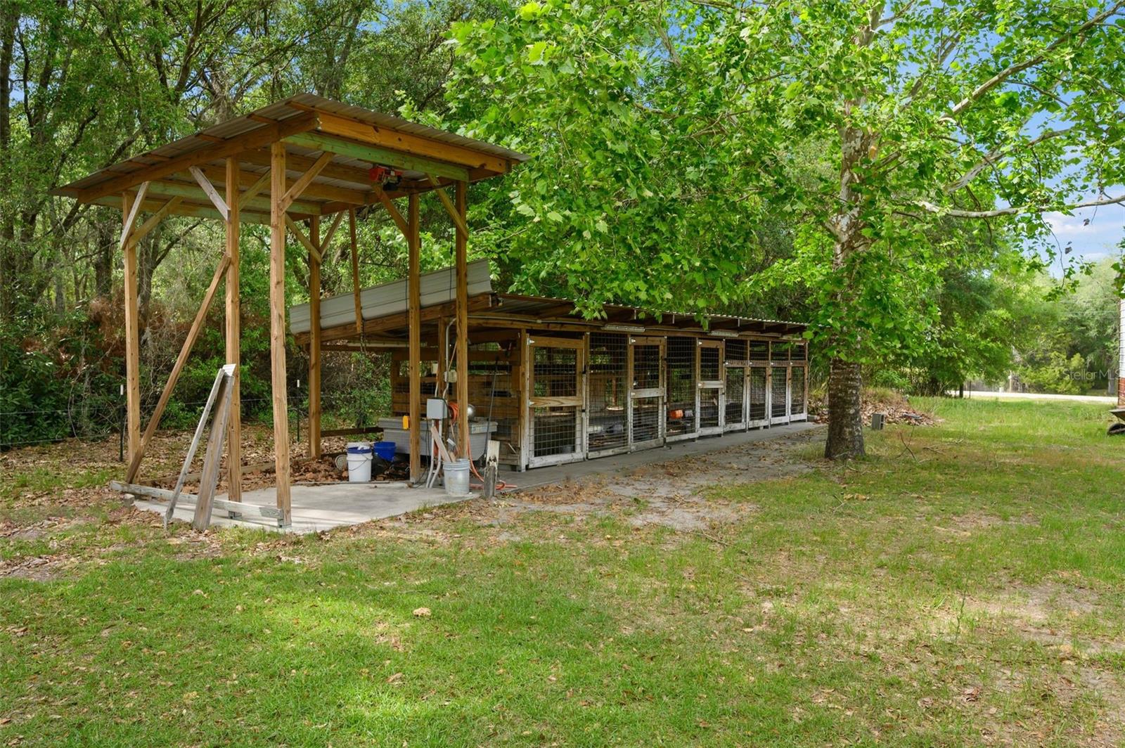 Image 57 of 66 For 6459 County Road 337