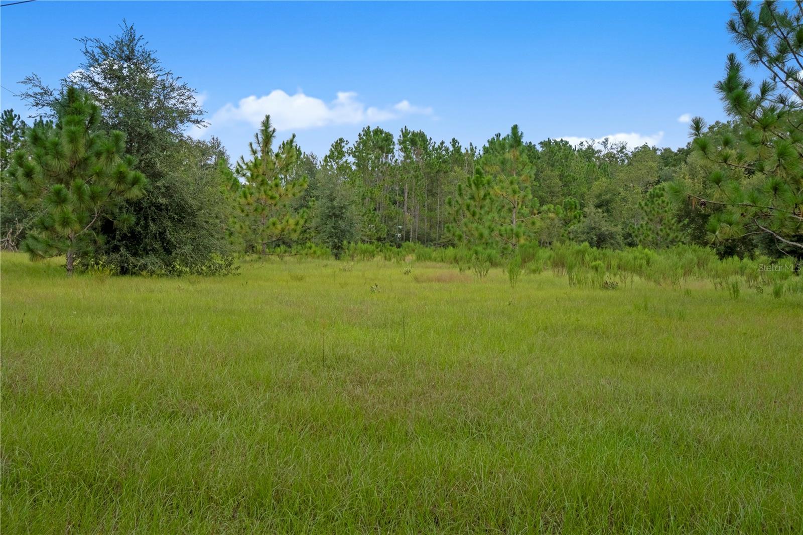 Image 13 of 45 For 3749 V 22nd Place