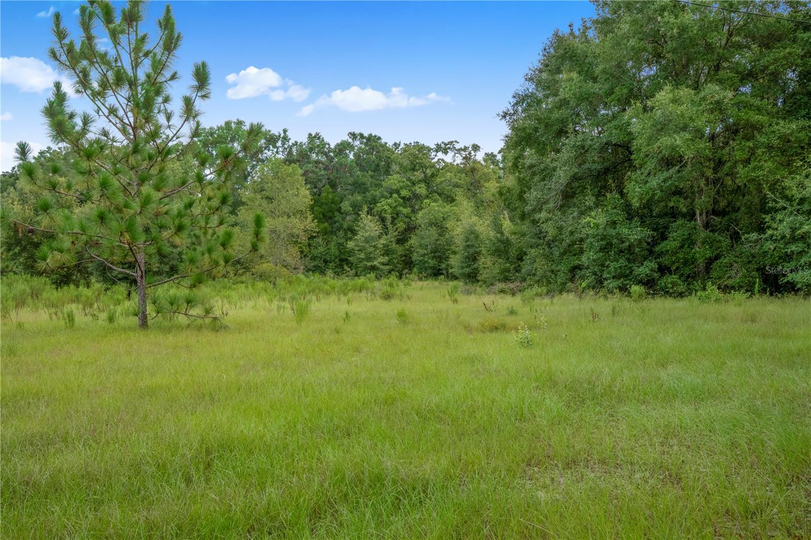 Image 14 of 45 For 3749 V 22nd Place