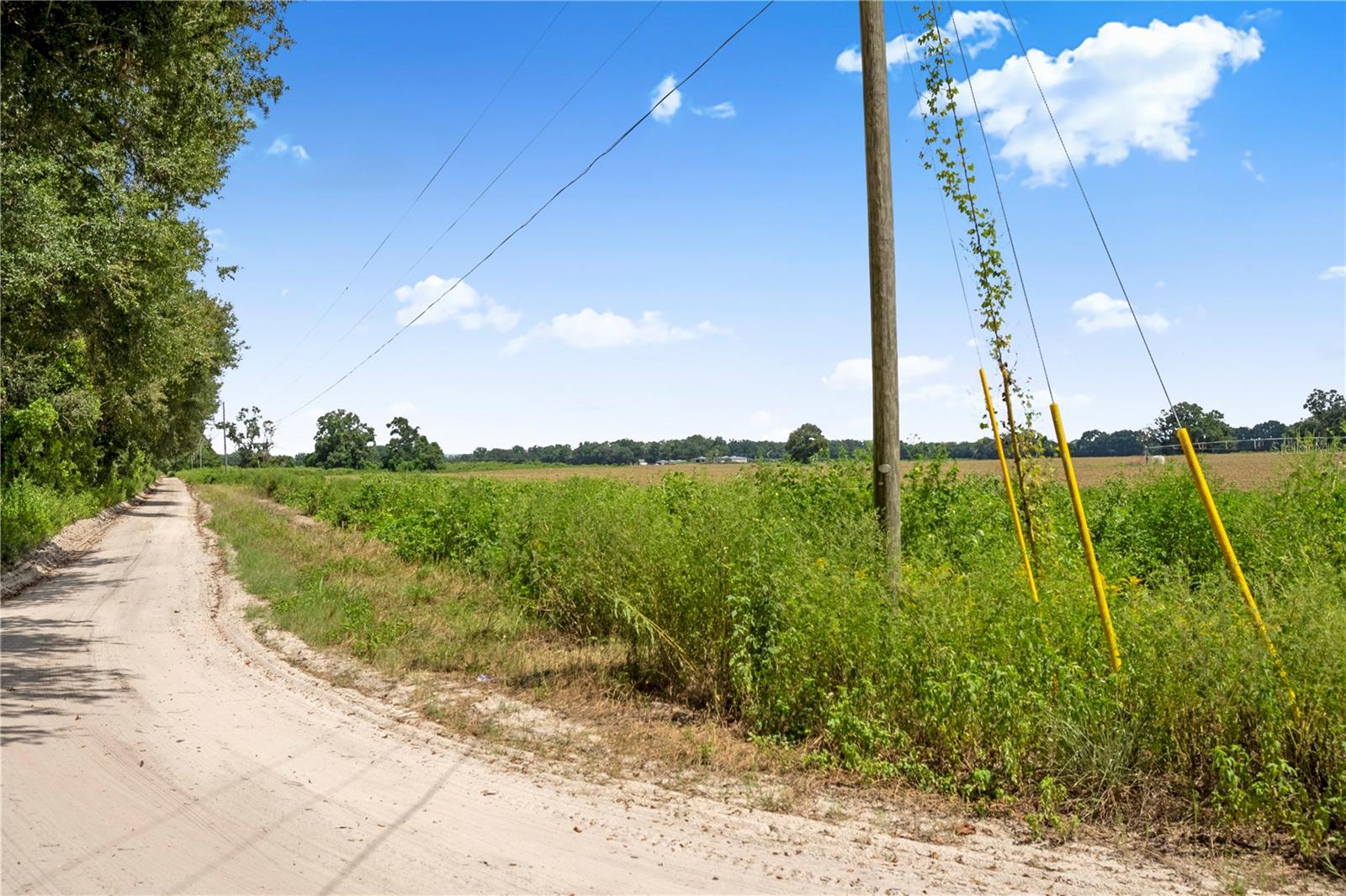 Image 16 of 45 For 3749 V 22nd Place