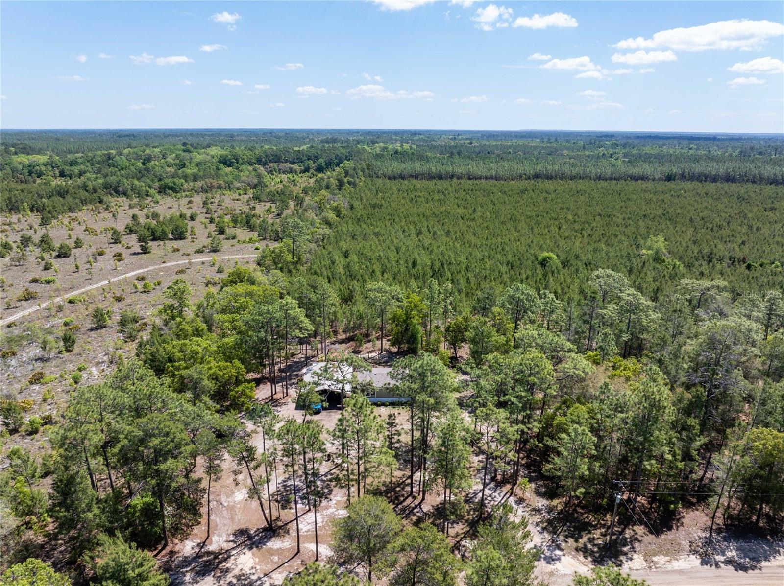 Image 23 of 41 For 221 Magnolia Road