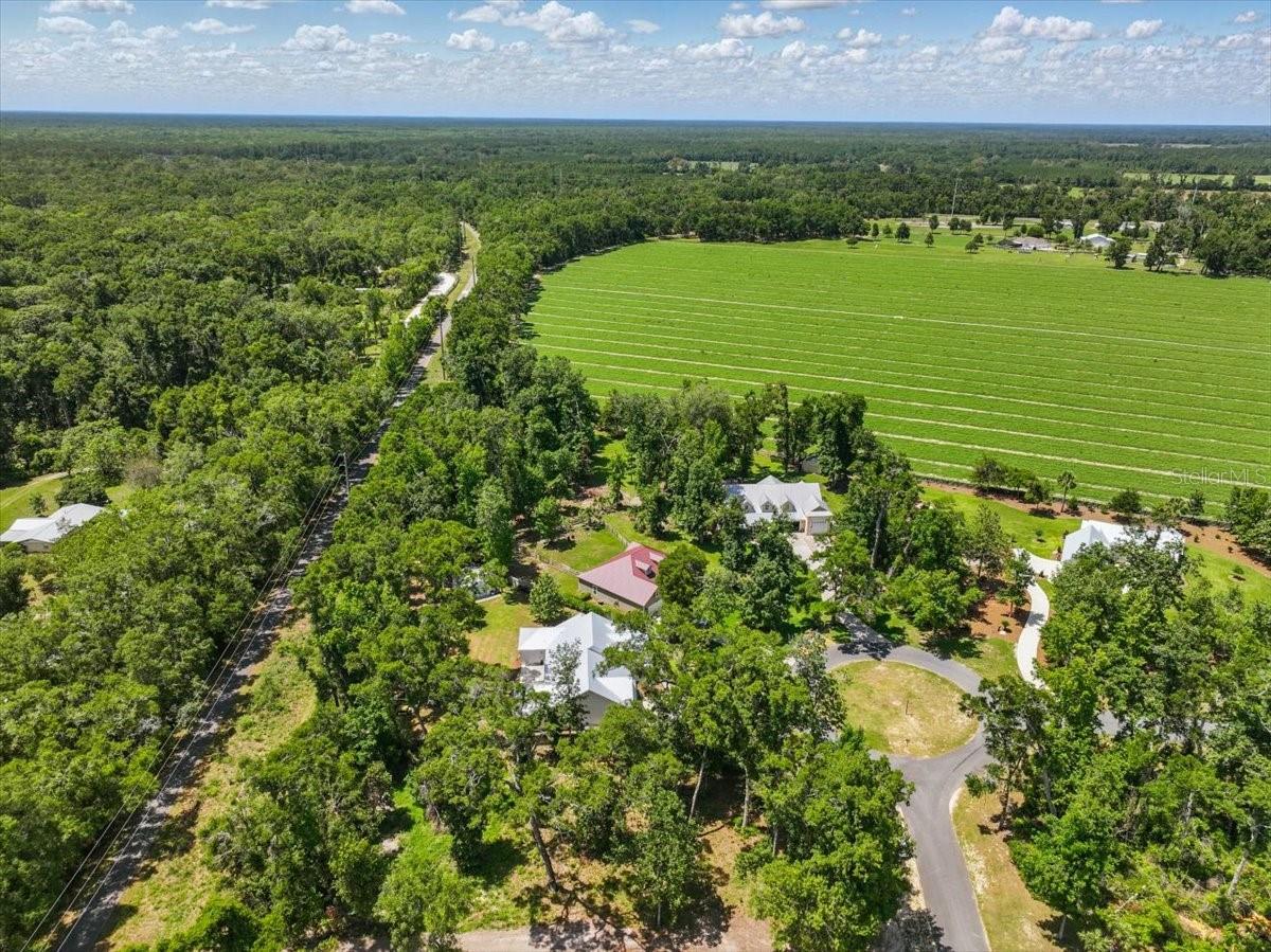 Image 38 of 52 For 9061 Katherine Way