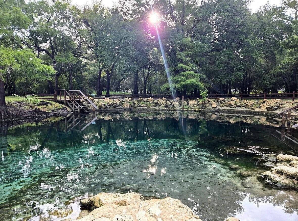 Image 49 of 52 For 9061 Katherine Way