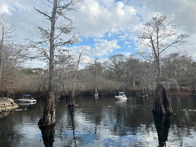 Image 50 of 52 For 9061 Katherine Way