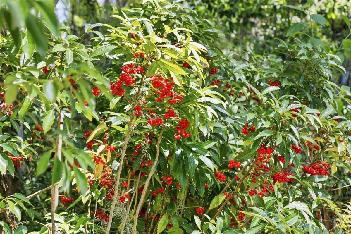 Image 54 of 76 For 8386 Austin Road