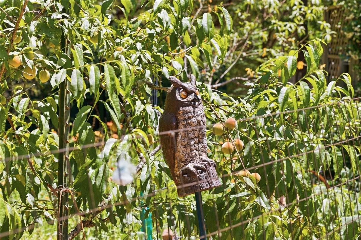 Image 55 of 76 For 8386 Austin Road