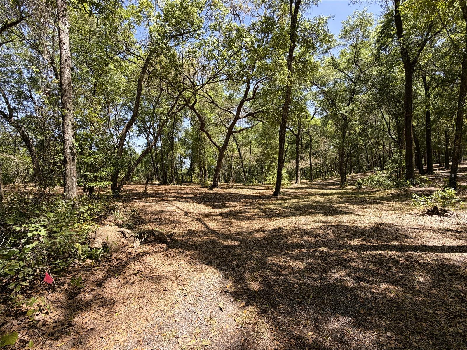 Details for Cypress Street, KEYSTONE HEIGHTS, FL 32656