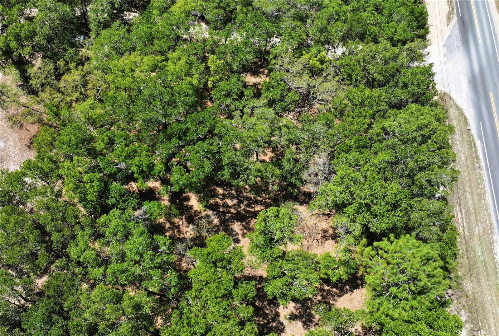 Image 10 of 14 For Cypress Street