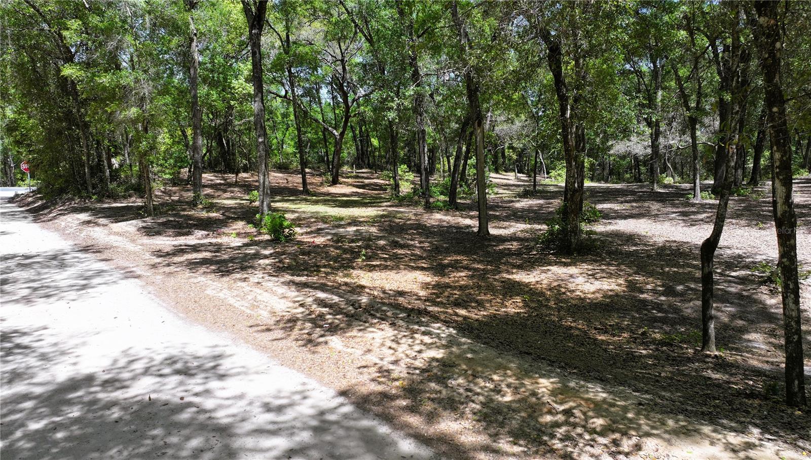 Image 11 of 14 For Cypress Street