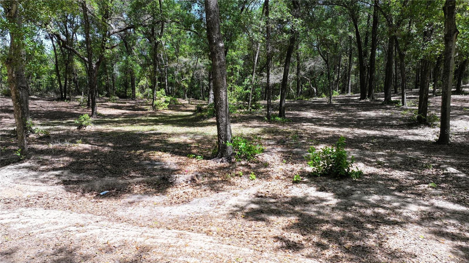 Image 12 of 14 For Cypress Street