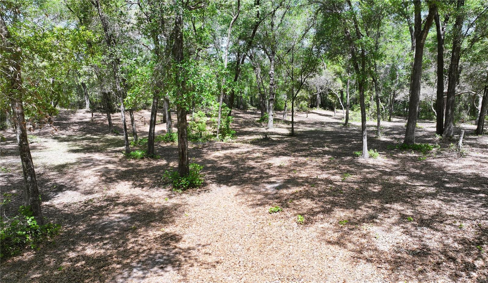 Image 13 of 14 For Cypress Street