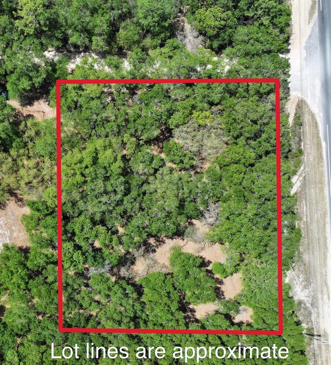 Image 3 of 14 For Cypress Street