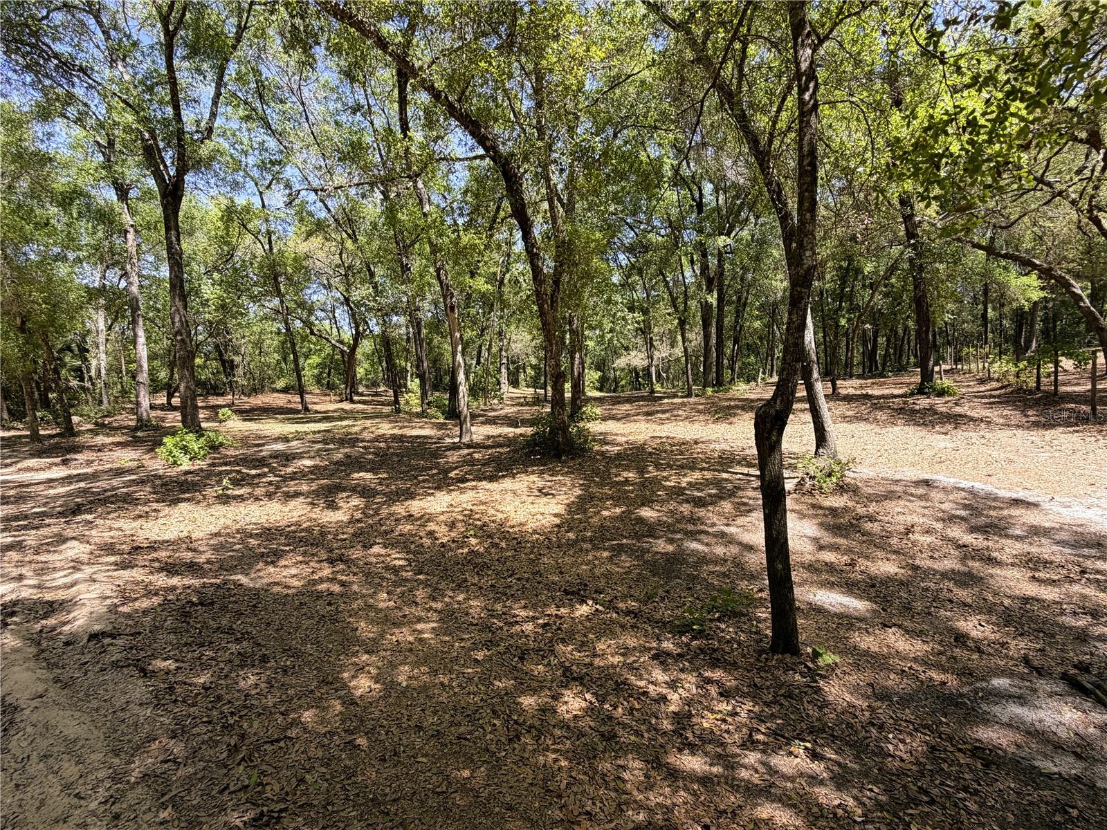 Image 4 of 14 For Cypress Street