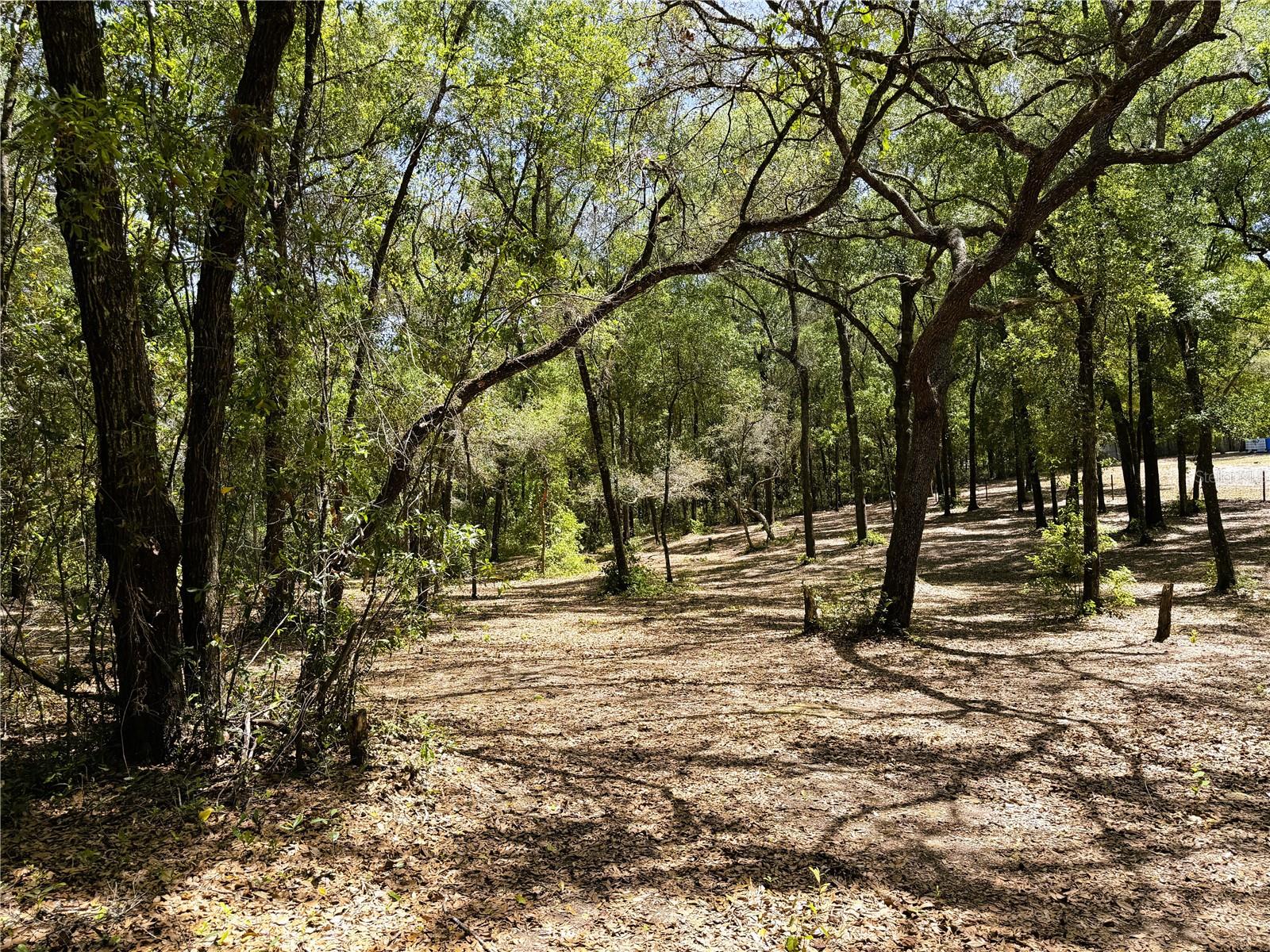 Image 6 of 14 For Cypress Street