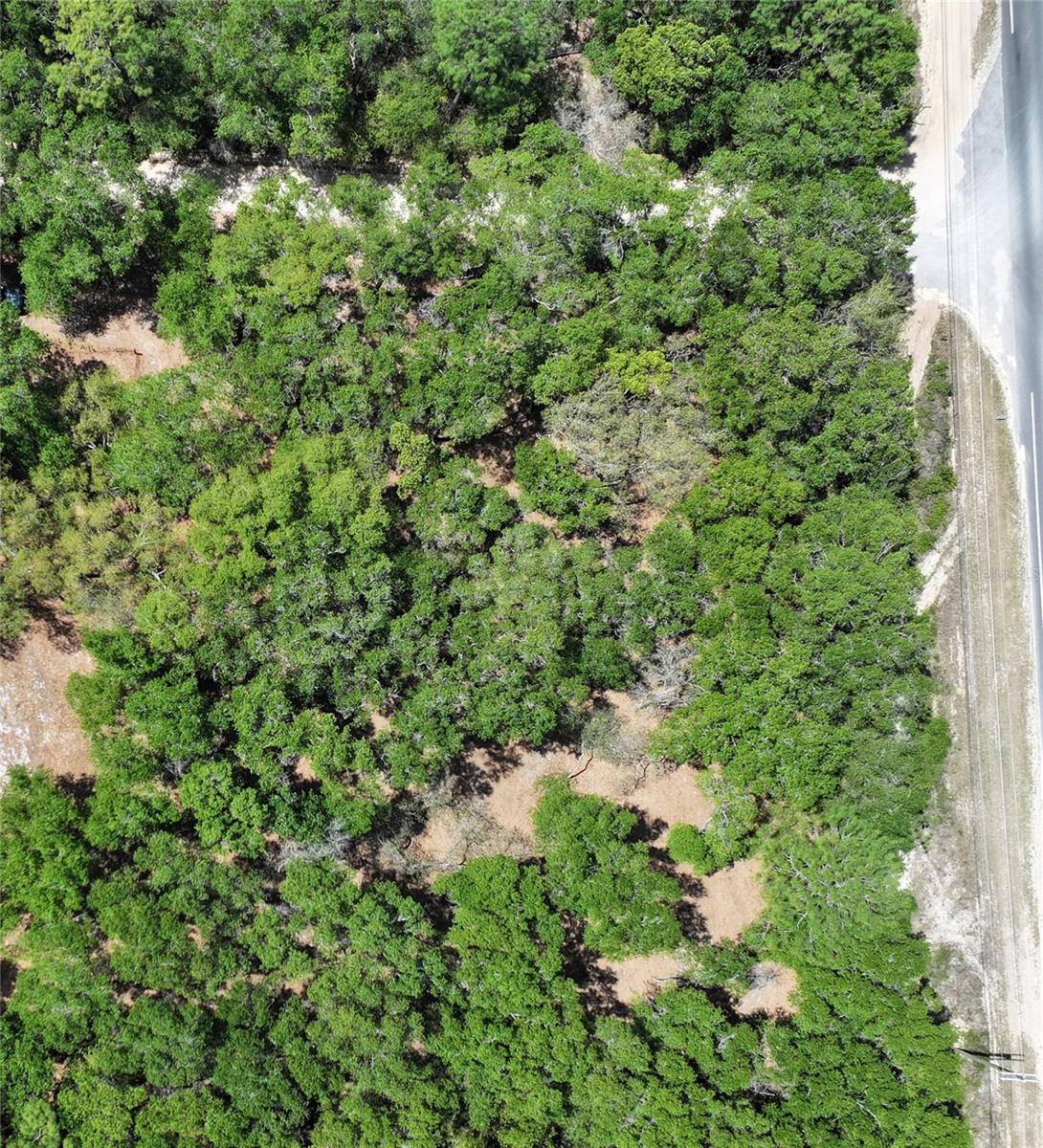 Image 7 of 14 For Cypress Street