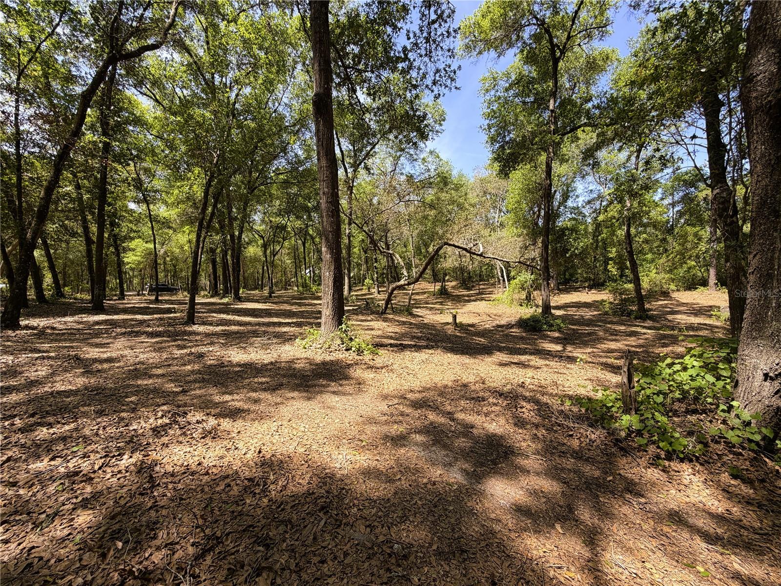 Image 9 of 14 For Cypress Street