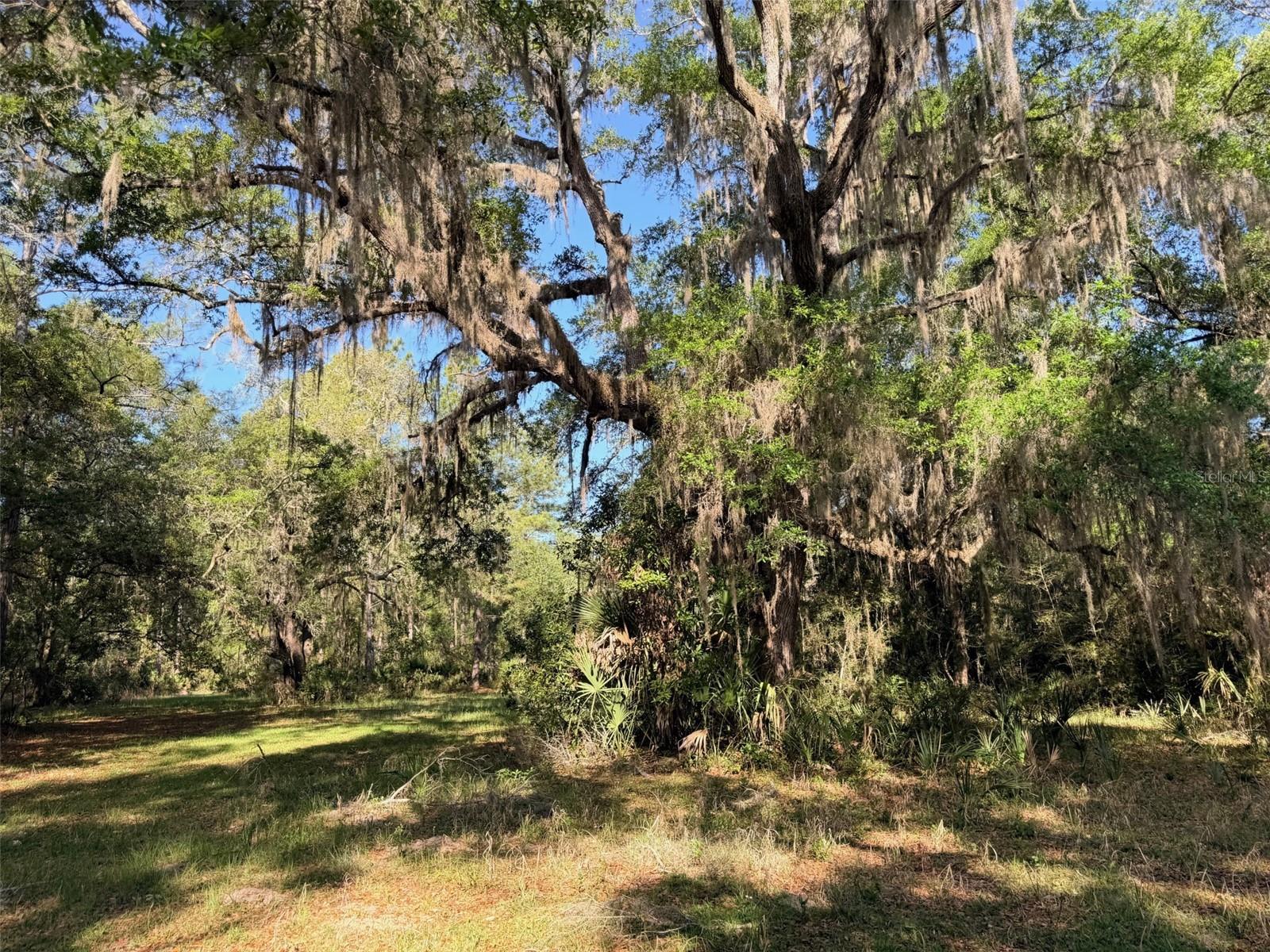 Image 10 of 22 For 6650 110th Avenue