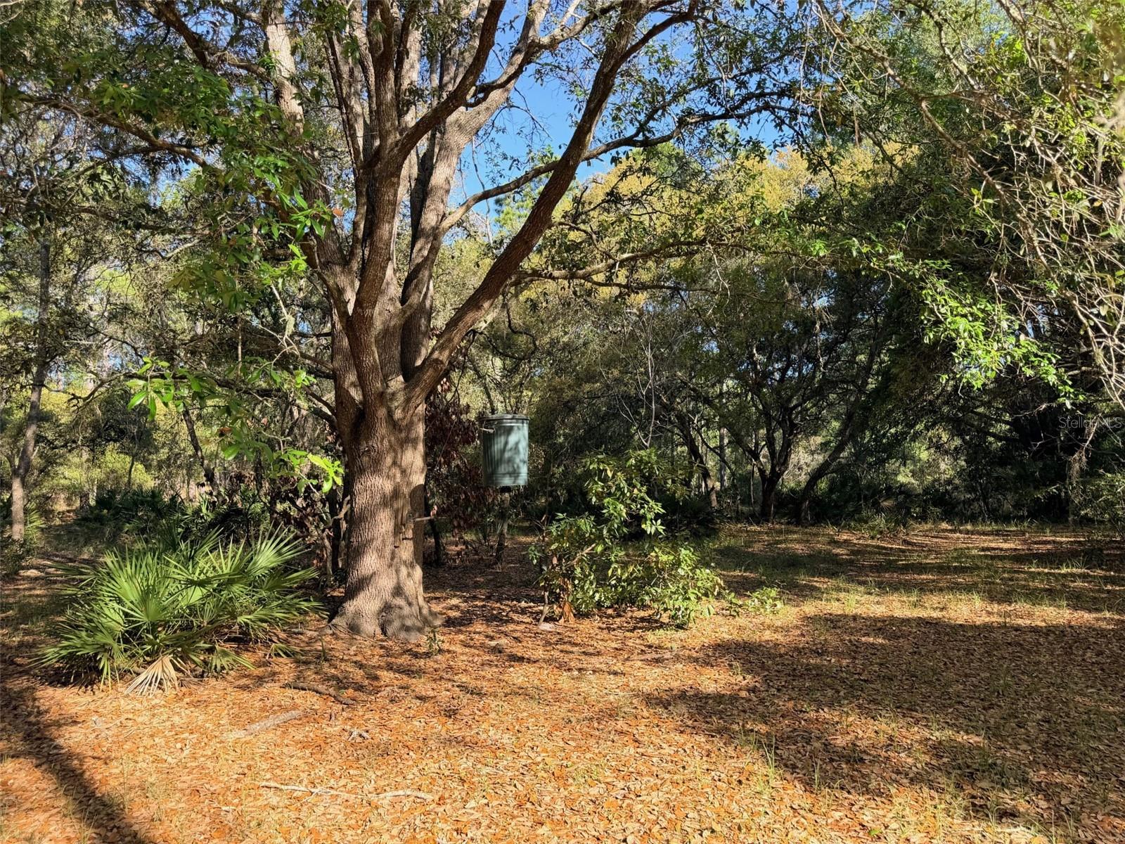 Image 11 of 22 For 6650 110th Avenue