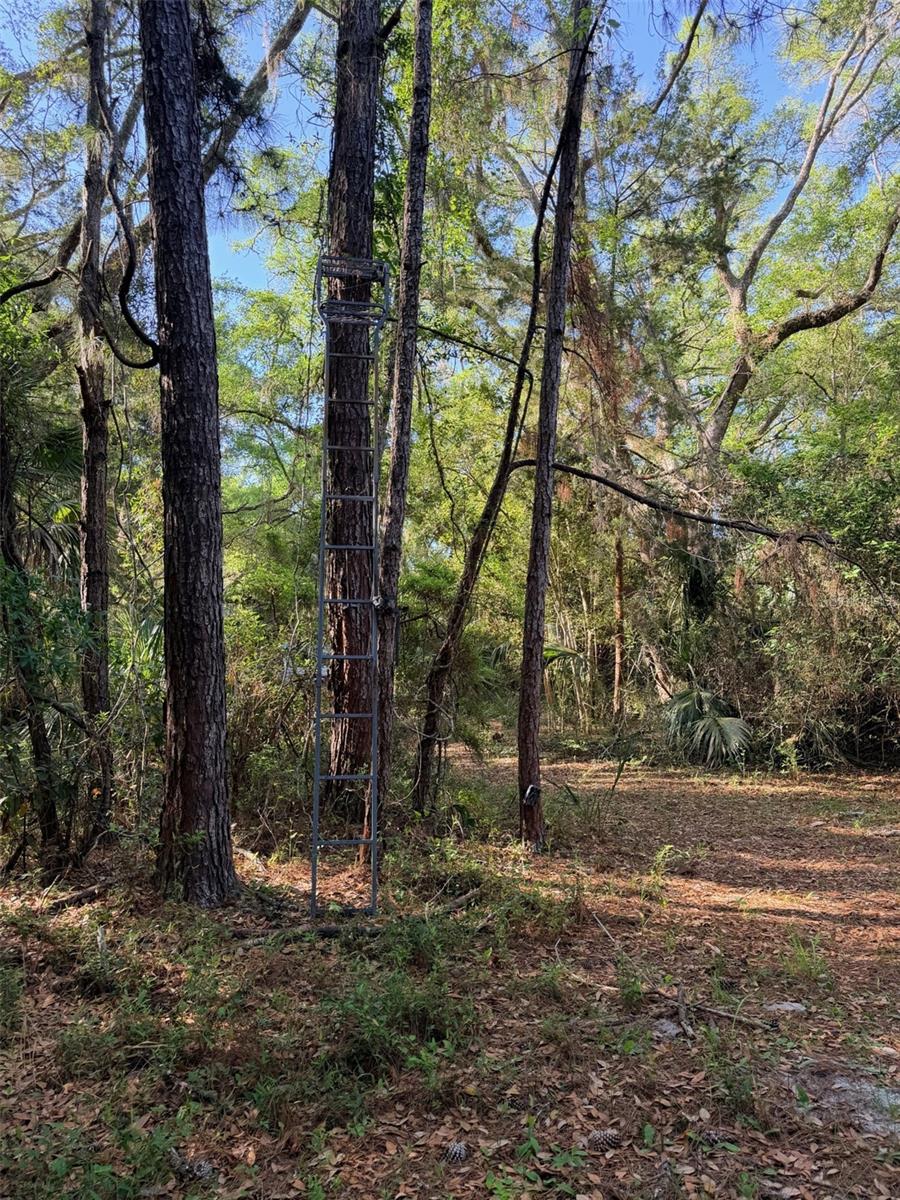 Image 12 of 22 For 6650 110th Avenue