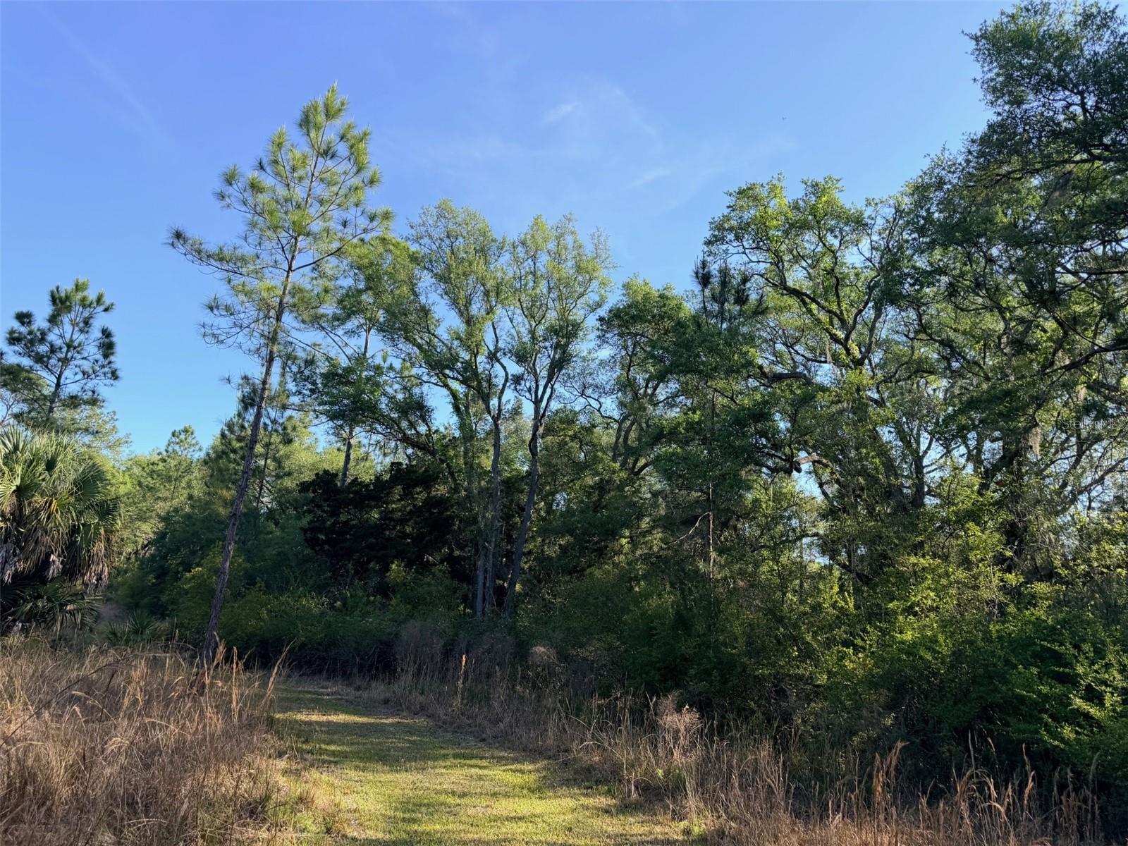 Image 13 of 22 For 6650 110th Avenue