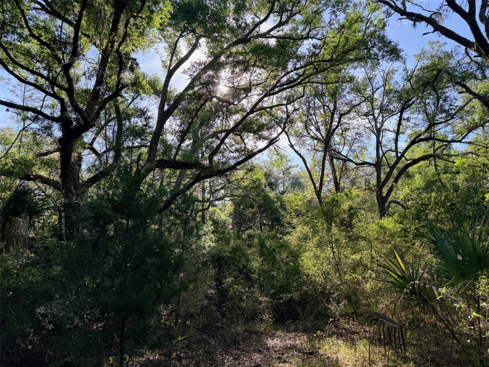 Image 14 of 22 For 6650 110th Avenue